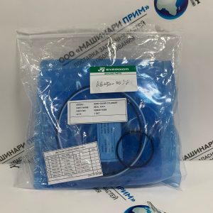 RB250-0058 Комплект уплотнений цилиндра разгрузки мачты